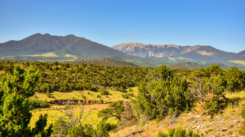 35 Acre Wooded Homesite with Electricity near Walsenburg, Colorado
