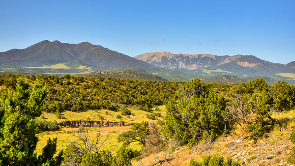 35 Acre Wooded Homesite with Electricity near Walsenburg, Colorado