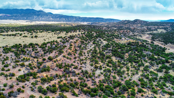 35 Acre Hunting Paradise adjoining BLM Land near Walsenburg, Colorado