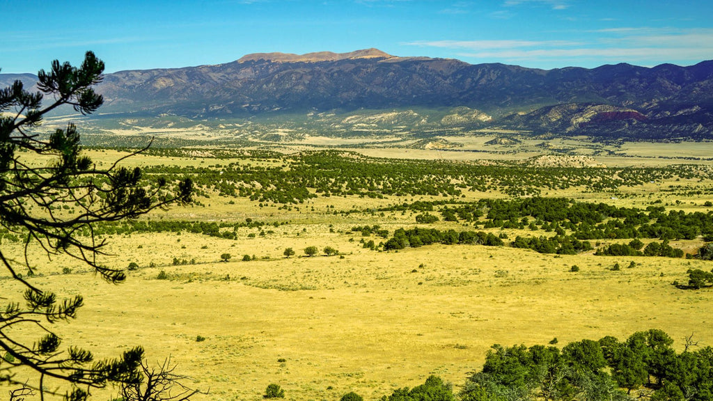 35 Acre Wooded Homesite adjoining Public Land near Walsenburg, CO