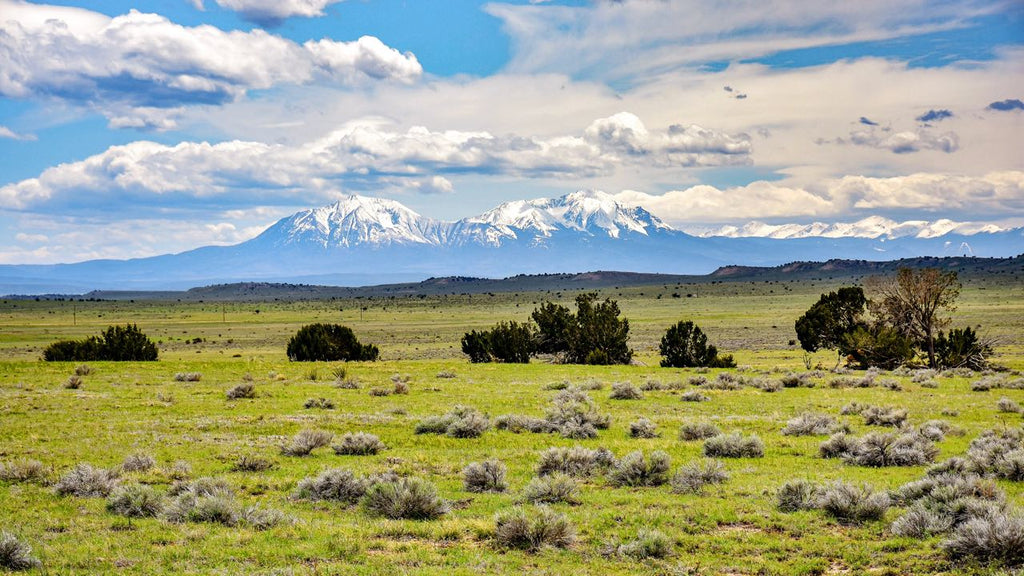 40 Acre Ranch with Mountain Views & Utilities near River & Canyon