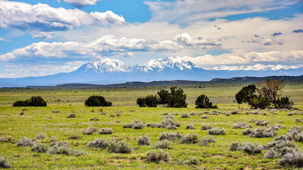 40 Acre Ranch with Mountain Views & Utilities near River & Canyon