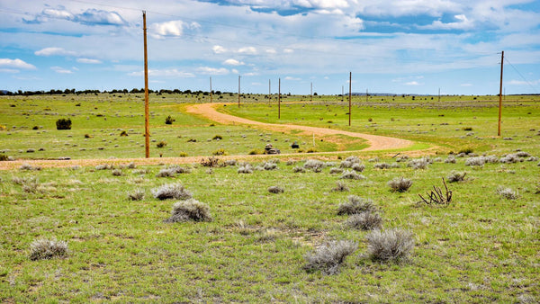 40 Acre Ranch with Electricity, Telecom & Road Frontage