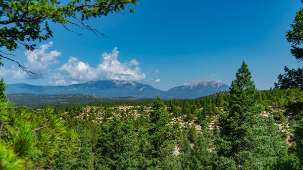 40 Acre Wooded Mountain Homesite Bordering the Spanish Peaks State Wildlife Area