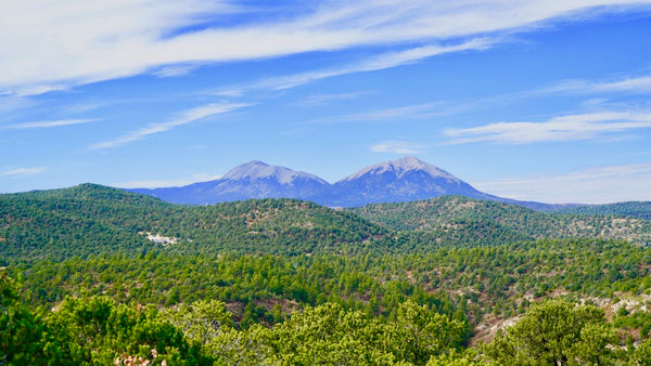 40 Wooded Mountain Acres with Creek & County Road Frontage