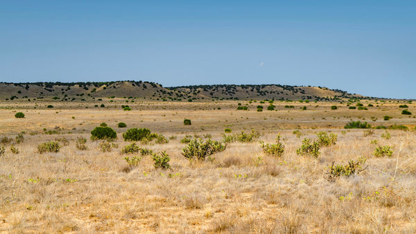 36 Acres with Road Frontage near Apishapa State Wildlife Area in Southern Colorado : CO_Las-Animas_00028