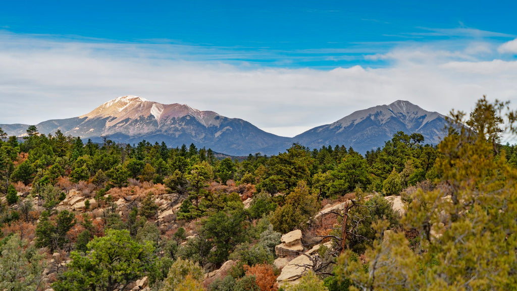 6.4 Acre Wooded Mountain Top Homesite with Electricity : CO_Las-Animas_00051