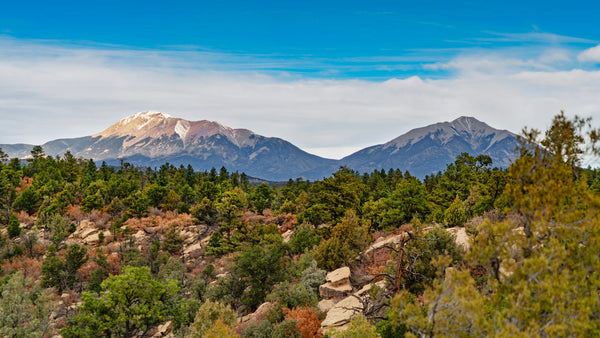 6.4 Acre Wooded Mountain Top Homesite with Electricity : CO_Las-Animas_00051