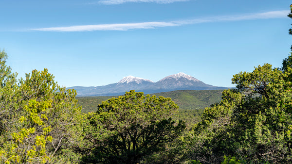 LANDiO Property ID : CO_Las-Animas_00046 (Backup Deposit : Sam Fitzgerald)