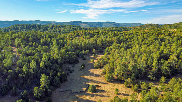 5.22 Acre Wooded Homesite near Trinidad Lake State Park : CO_Las-Animas_00041