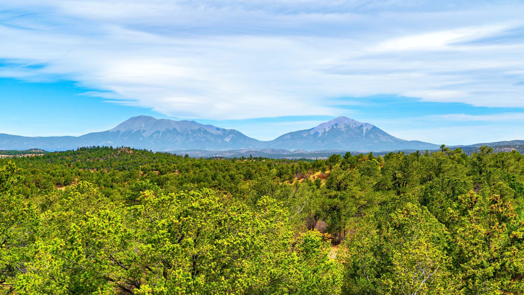 20 Wooded Mountain Acres with Road Access & Amazing Views : CO_Las-Animas_00045