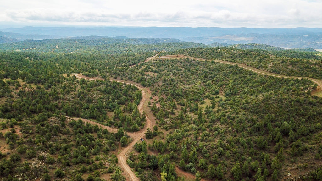 13 Wooded Mountain Acres with Road Access & Amazing Views  : CO_Las-Animas_00050