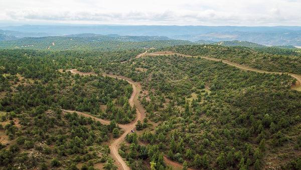 13 Wooded Mountain Acres with Road Access & Amazing Views  : CO_Las-Animas_00050