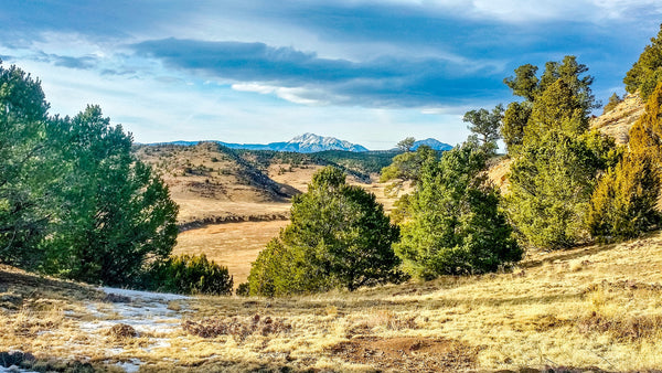 37 Acre Mountain Homesite with Power & World-Class Views