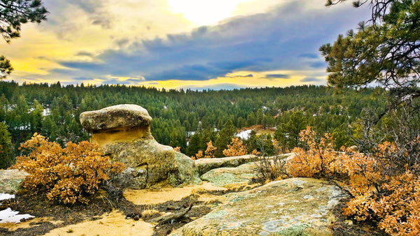 40 Acre Mountain Homesite near Spanish Peaks SWA