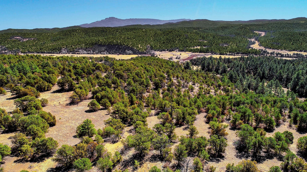 5.14 Acre Wooded Homesite near Trinidad Lake State Park