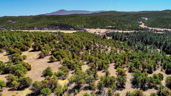5.14 Acre Wooded Homesite near Trinidad Lake State Park