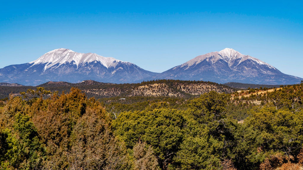 39.10 Acre Wooded Mountain Homesite near Public Land & Trinidad, Colorado