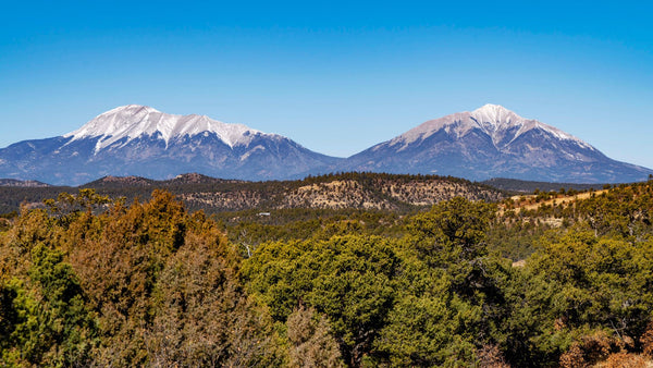 39.10 Acre Wooded Mountain Homesite near Public Land & Trinidad, Colorado