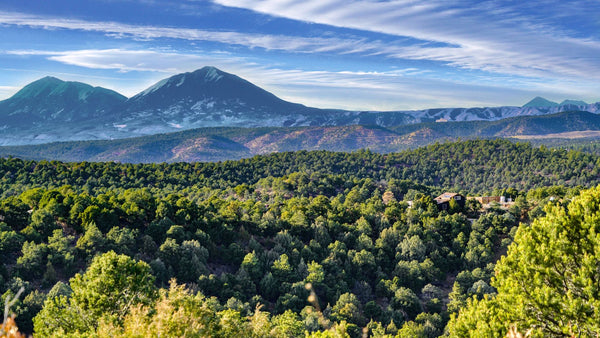 40 Acre Wooded Mountain Top Homesite with Electricity