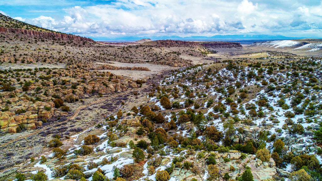 10 Acre Mountain Ranch bordering the Rio Grande National Forest : CO_Rio-Grande_00001