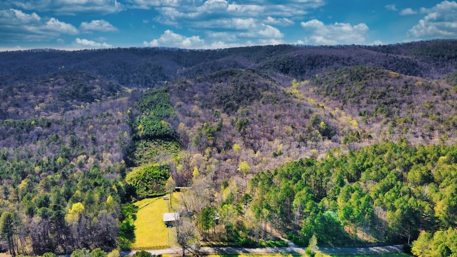 15.42 Wooded Acres bordering the Chattahoochee National Forest : GA_Floyd_00001