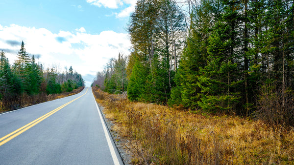 35.33 Wooded Acres with Road Frontage, Pond & Nearby Electricity : ME_Piscataquis_00002