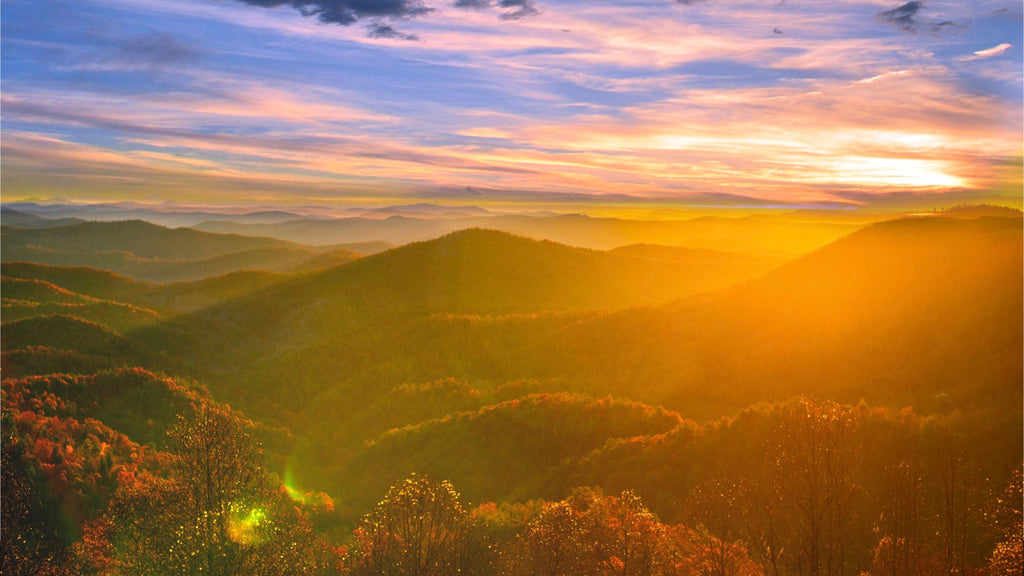 10 Acre Wooded Mountain Property near Electricity in North Carolina