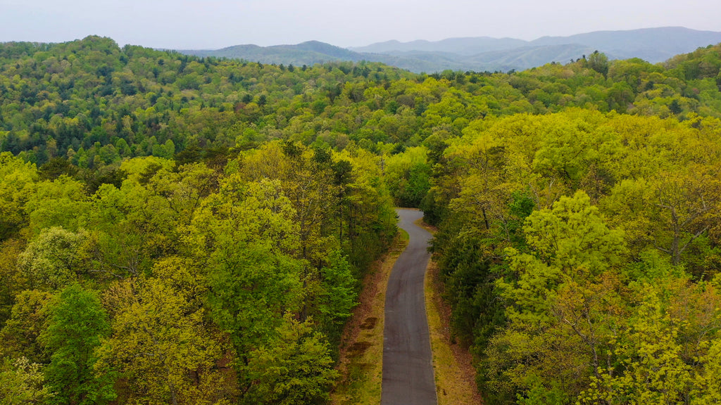 6.5 Acres in Gated Community with Electricity & Paved Roads : NC_Wilkes_00003