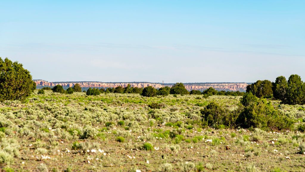 5.18 Acres with Mountain Views near 100,00+ Acres of BLM Land : NM_Cibola_00017