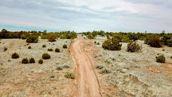 5.04 Acres with Road Frontage near BLM Land & National Forest : NM_Cibola_00022