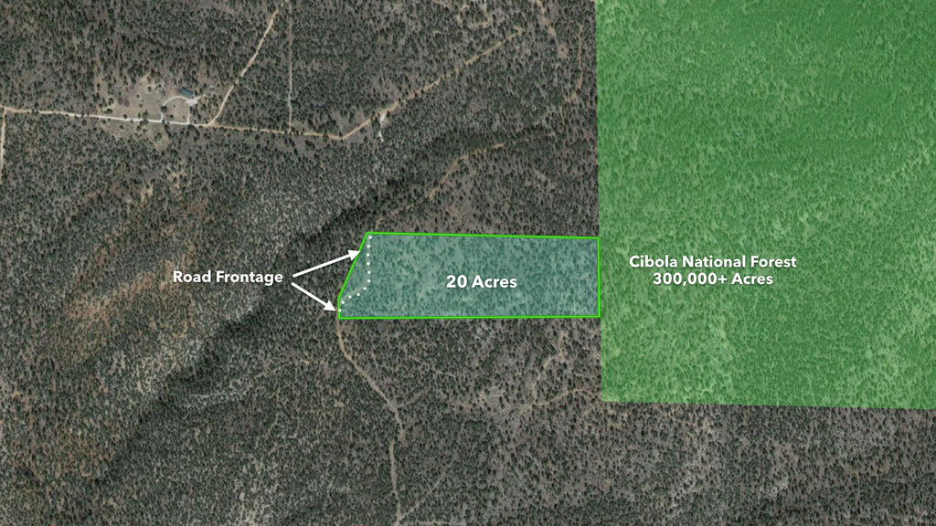 20 Wooded Mountain Acres Bordering the Cibola National Forest : NM_Cibola_00033