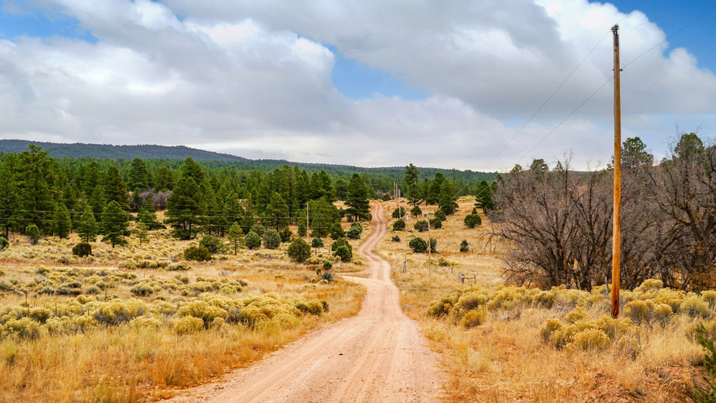 20 Acre Wooded Mountain Ranch near the Cibola National Forest : NM_Cibola_00035