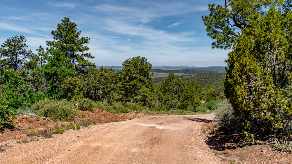 20 Acre Wooded Ranch near Electricity and the Cibola National Forest : NM_Cibola_00043