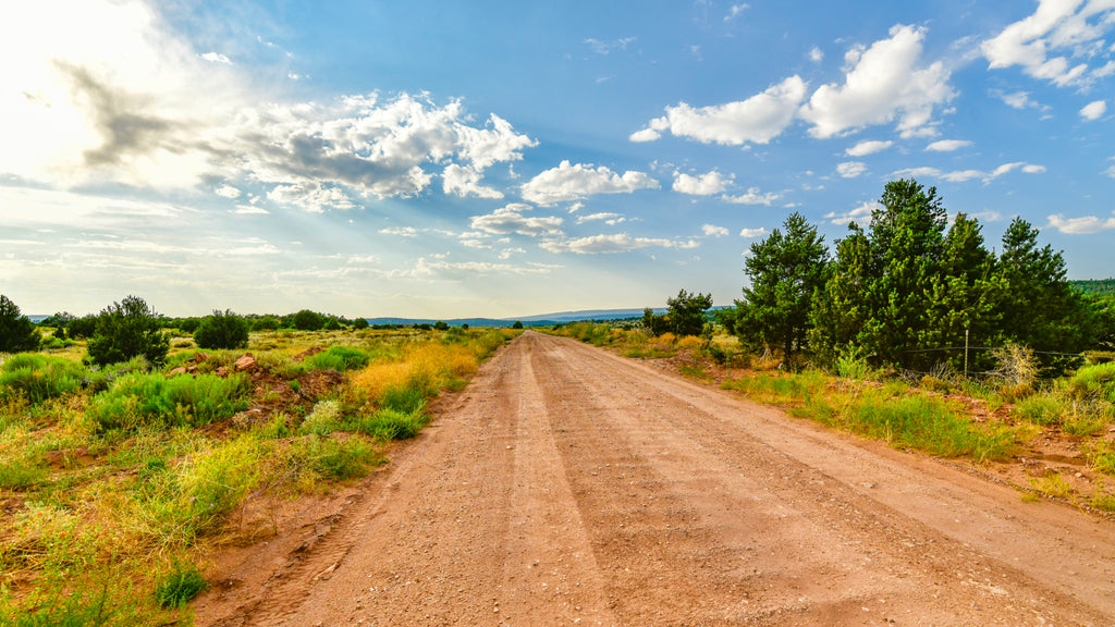 20 Acre Rural Ranch with Electricity near Private National Forest Access : NM_Cibola_00051