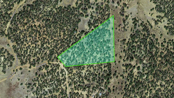 4.36 Wooded Acres with Dirt Road Access near National Forest Land  : NM_Cibola_00059