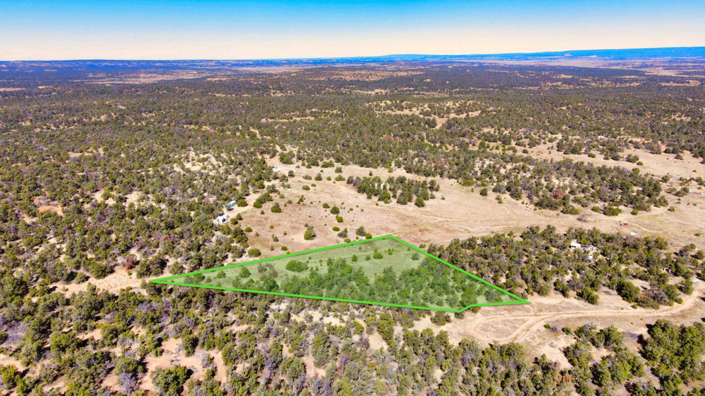 2.85 Wooded Acres with Dirt Road Access near National Forest  : NM_Cibola_00056