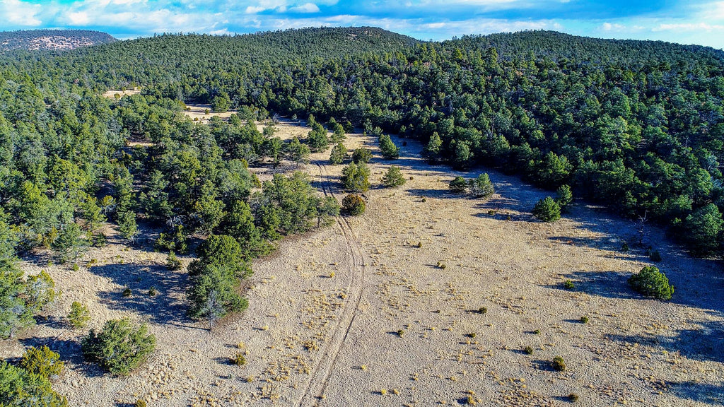 37 Acre Wooded Mountain Homesite adjoining BLM Land