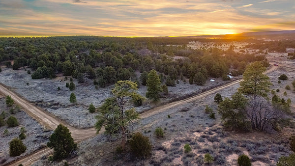 4.28 Wooded Acres in Cibola County, New Mexico