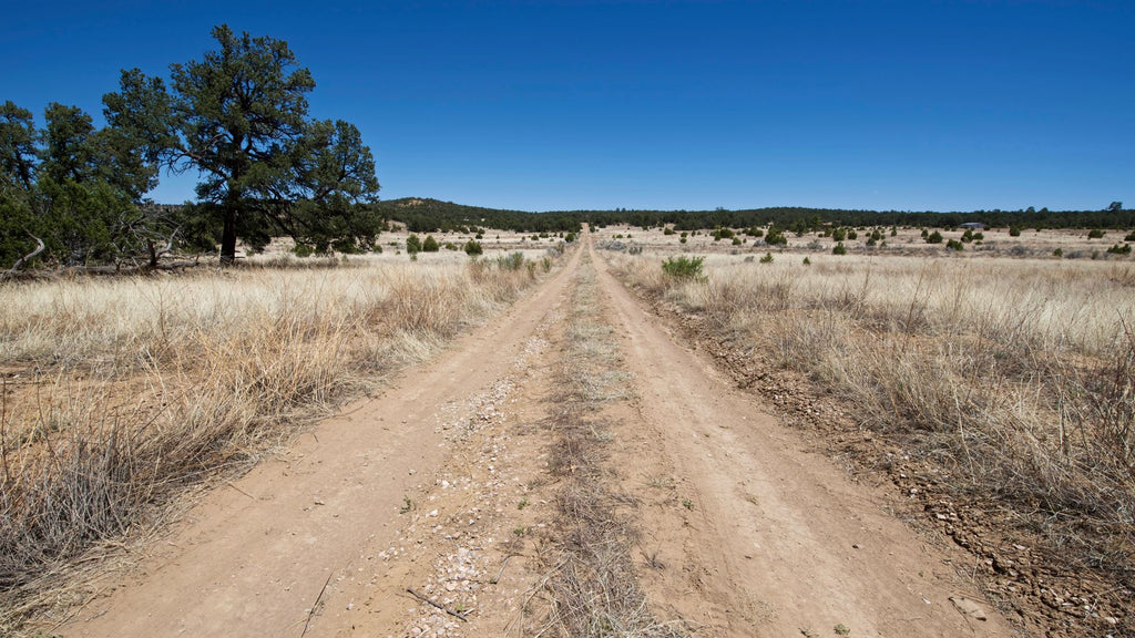 6.51 Acre Homesite with Electricity & Road Frontage near Public Land in New Mexico - NM_Cibola_00044