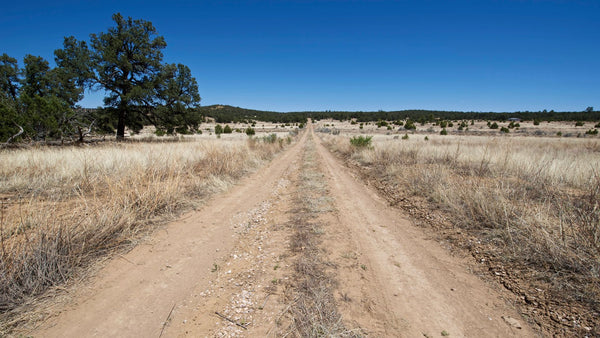 6.51 Acre Homesite with Electricity & Road Frontage near Public Land in New Mexico