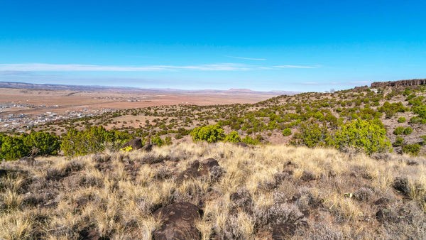 22.94 Acre Wooded Homesite near Grants, New Mexico & Cibola National Forest