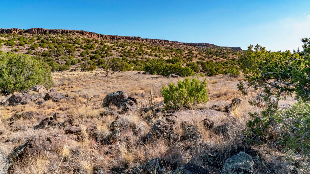 12.82 Acre Wooded Homesite near Grants, New Mexico & Cibola National Forest
