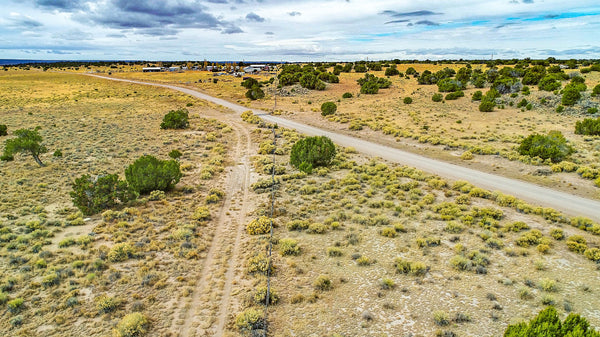40 Acres with Trees, Utilities & County Road Frontage