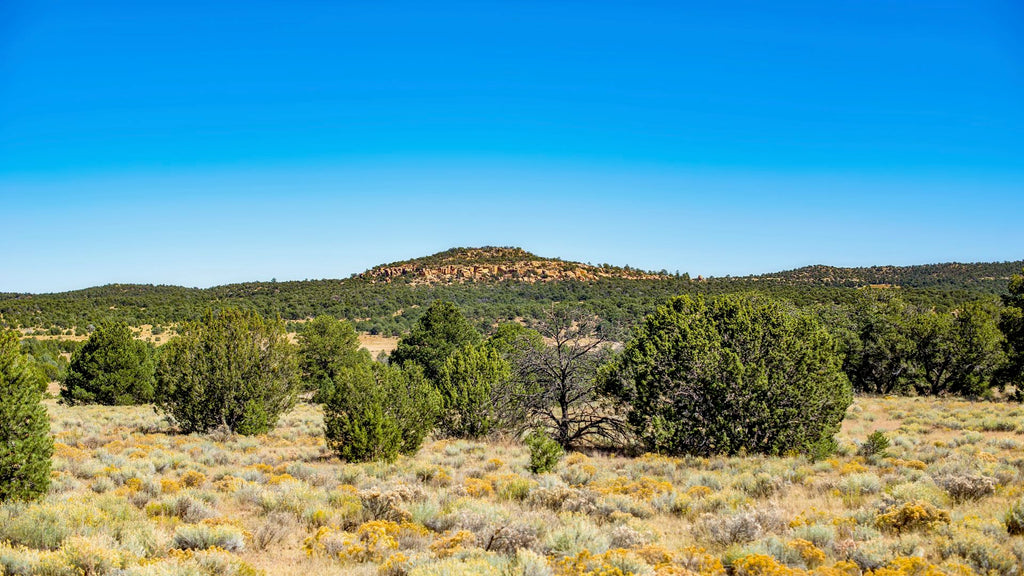 21.96 Acre Homesite with Utilities & Road Frontage adjoining State Land