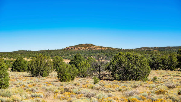 21.96 Acre Homesite with Utilities & Road Frontage adjoining State Land