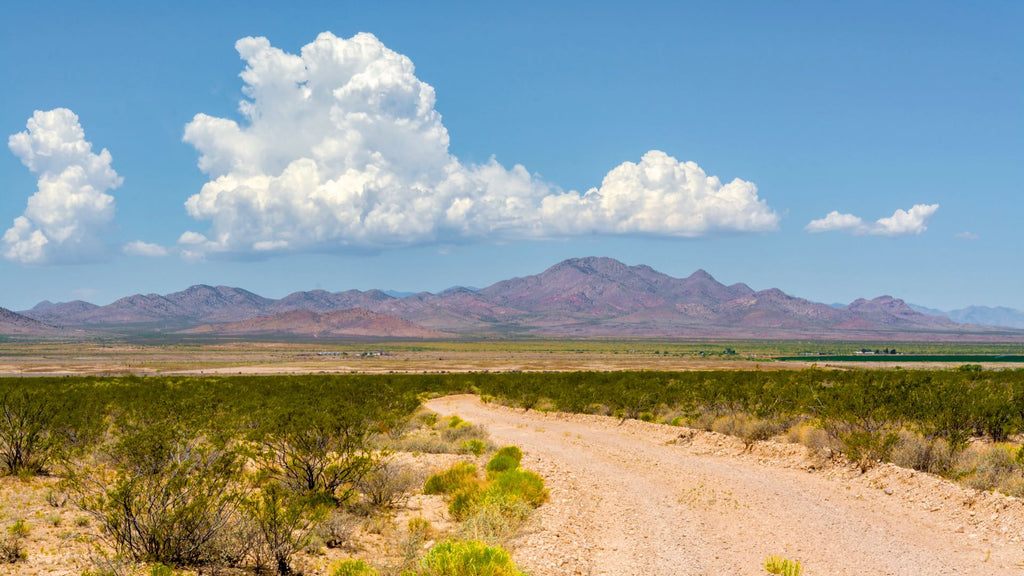 160 Acres with Electricity & Road Frontage bordering BLM Land : NM_Hidalgo_00002