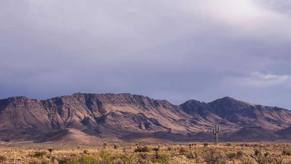 160 Acres adjoining over 20,000 Acres of BLM Land - LANDiO Property ID: NM_Lincoln_00001