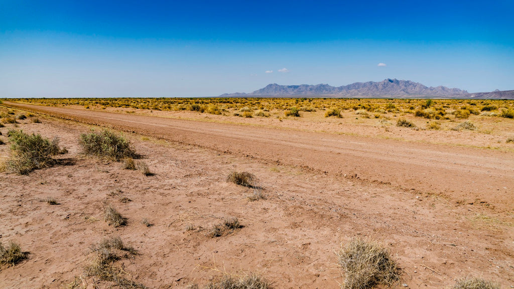 5.12 Acre Corner Lot with Road Frontage bordering BLM & State Land near Deming, New Mexico