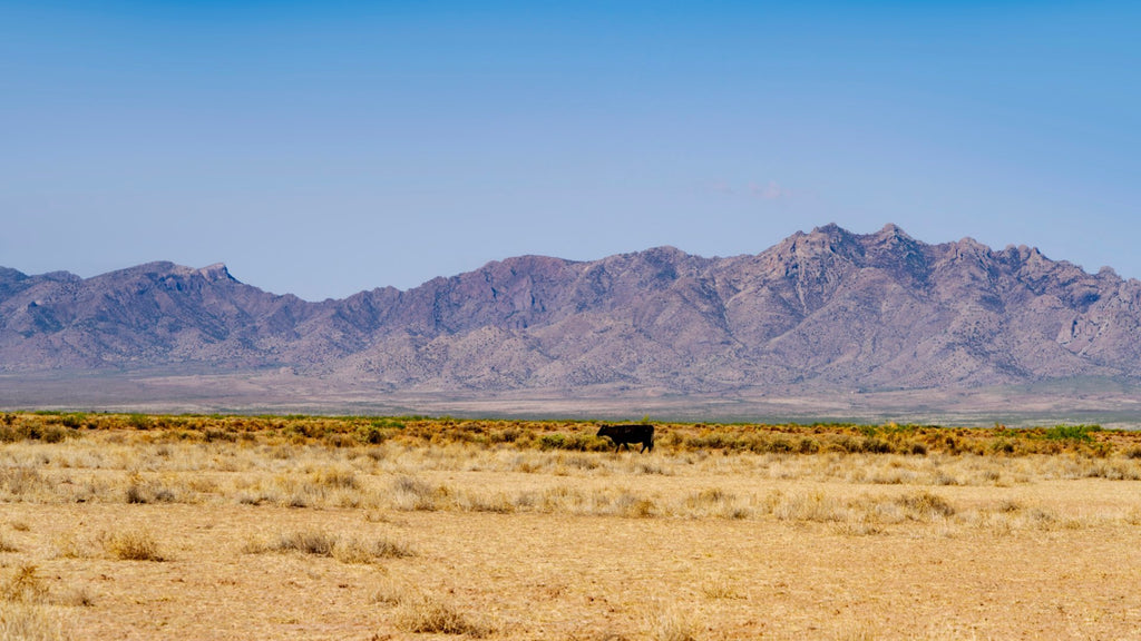 5 Acre Homesite near Electricity bordering BLM Land near Deming, New Mexico